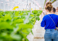 Van de aardbeien afblijven! 